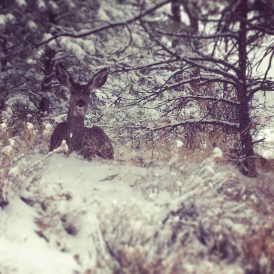 2015-04-16 13.02.06-1