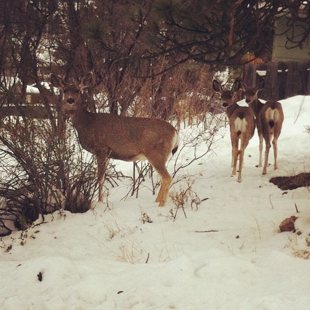 2015-04-18 15.34.18-2