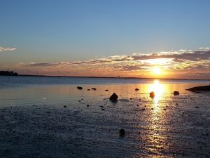 10418510_673679100577_7203565902975504157_n