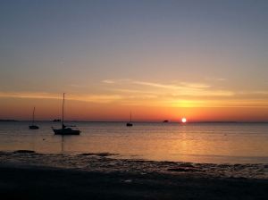 1956895_641299299957_4357658703144439175_o