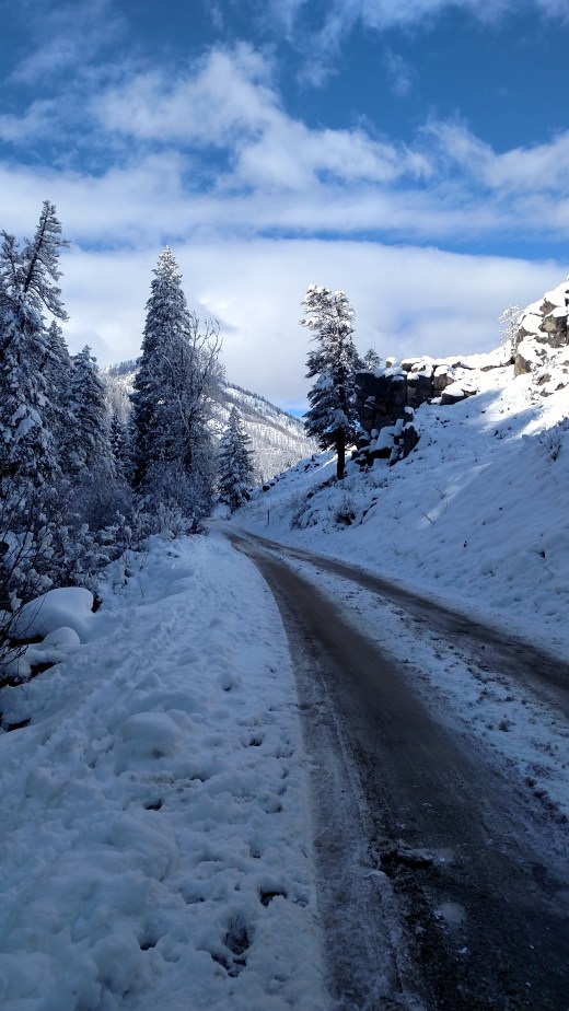 IMG_20151104_102928748