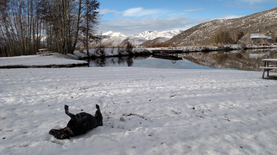 IMG_20151110_084812900