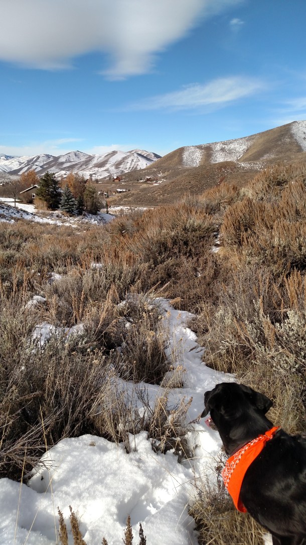 IMG_20151111_095826073