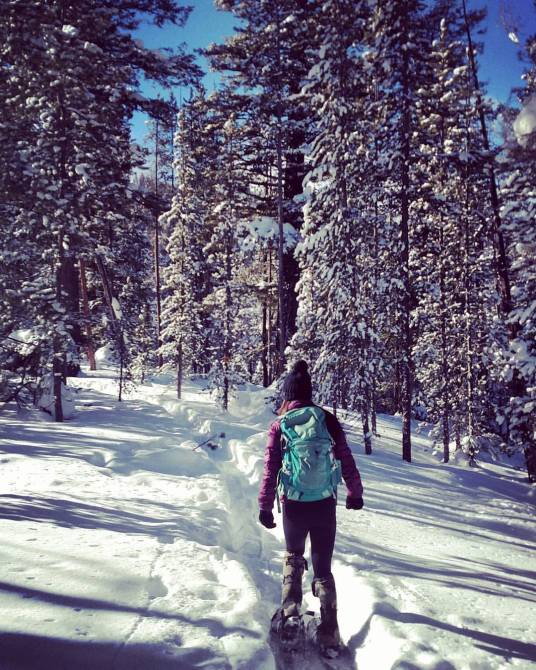 12471461_735605085407_5638019976533453210_o