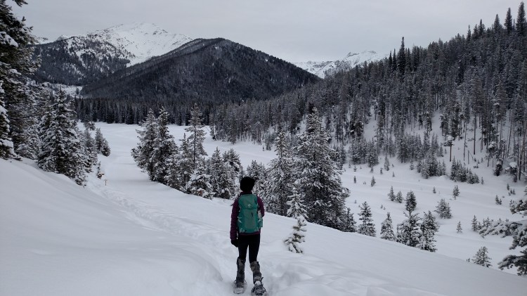 IMG_20160117_110337265