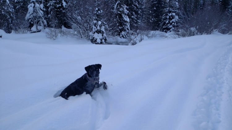 IMG_20160118_145931994