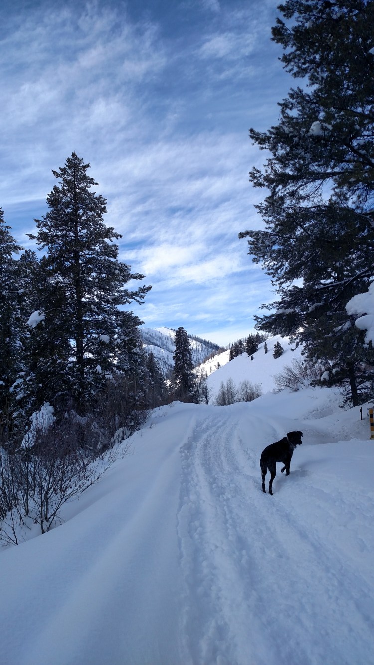 IMG_20160118_151107839