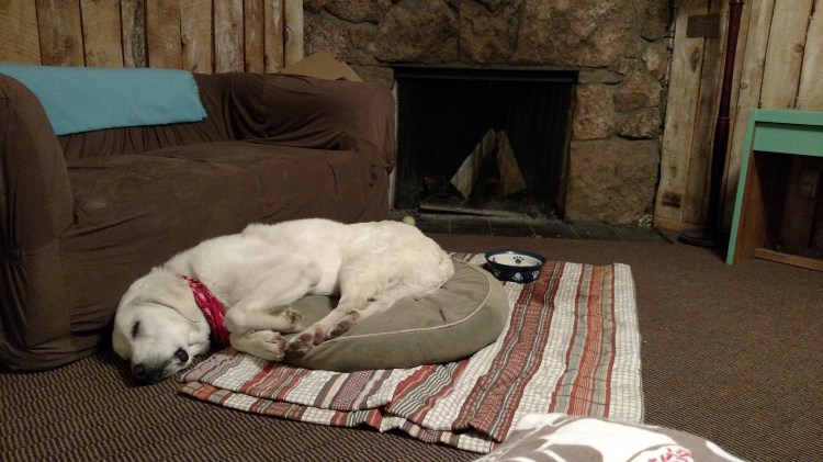 IMG_20160309_211258577