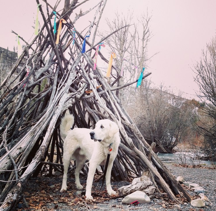 IMG_20160415_125234 (1)