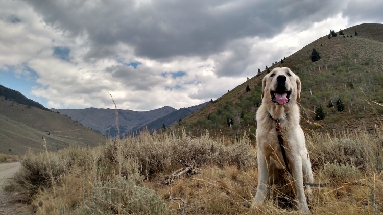 IMG_20160825_131950071_HDR