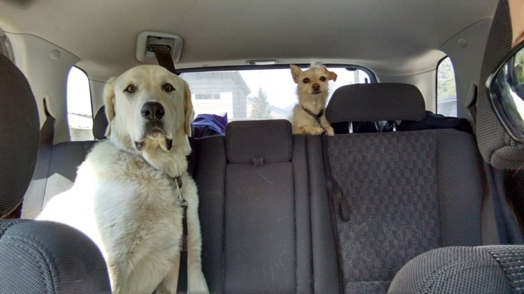 IMG_20160826_140239441_HDR