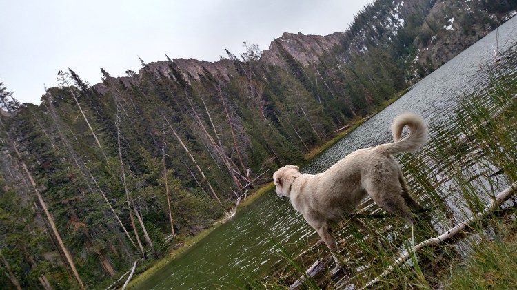 img_20160906_162609644_hdr