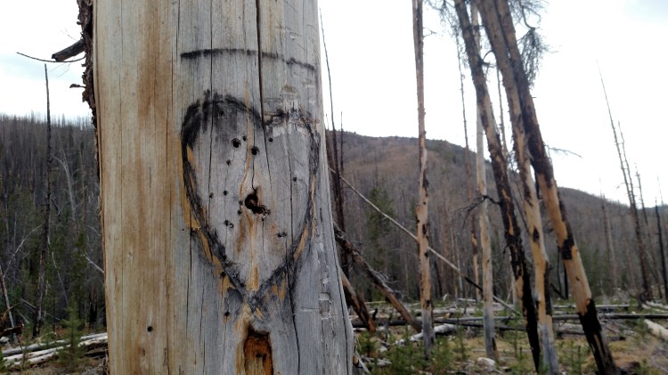 img_20160906_171907785