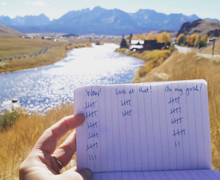 14409613_777064106197_2134106328699435107_o