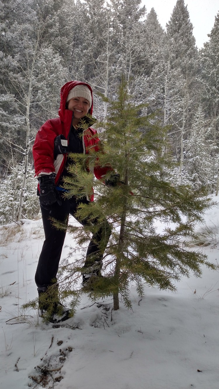 img_20161204_140228752_hdr