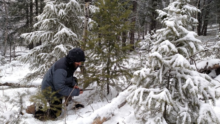 img_20161204_140823222