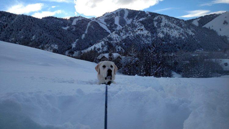 img_20170111_161030787