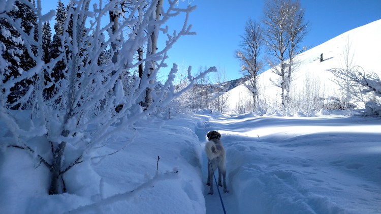 img_20170113_140502484