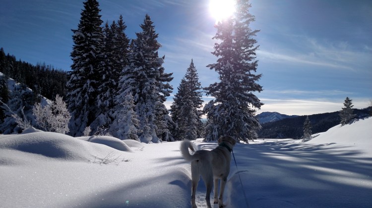 img_20170114_121209116