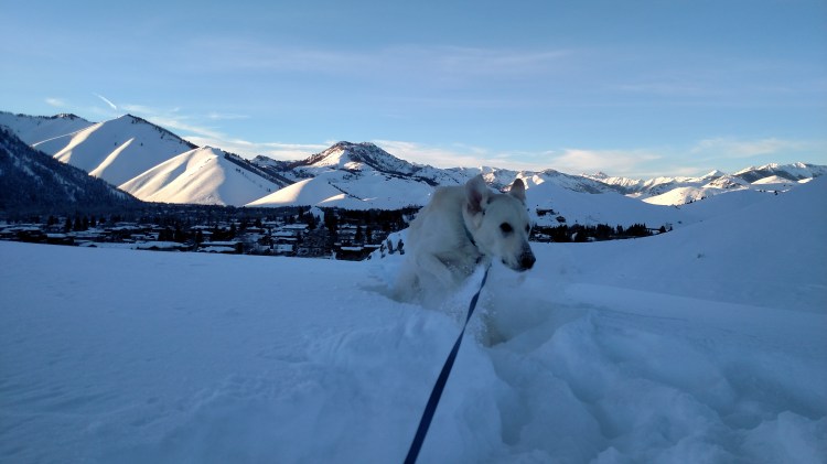 img_20170116_165300324