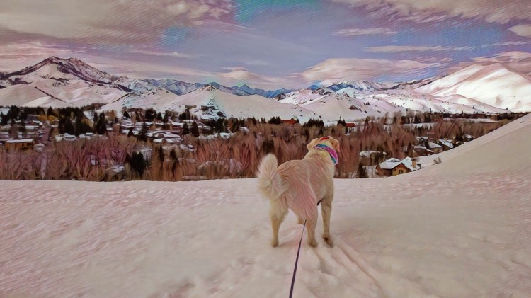 IMG_20170316_115952_438